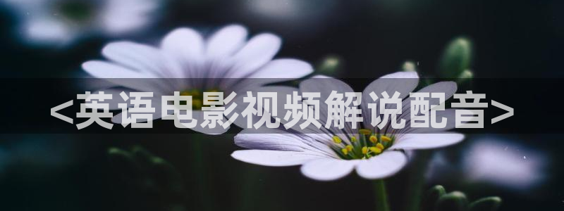 电影通午夜电影