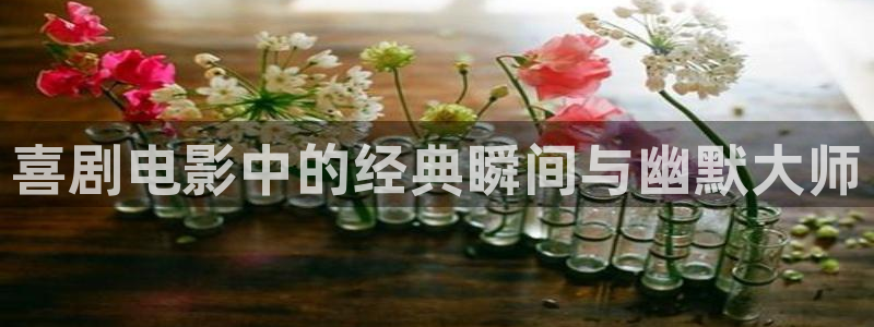 韩日午夜免费电影