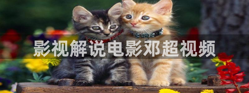 日本午夜片网站