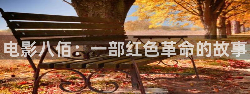 成人午夜电影视频一区