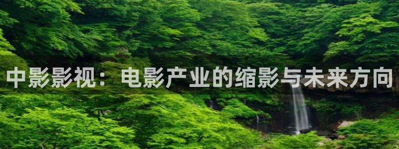 午夜毛毛片