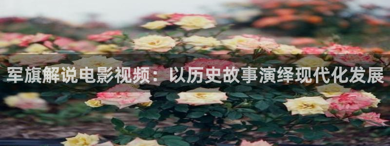 神马影院之午夜