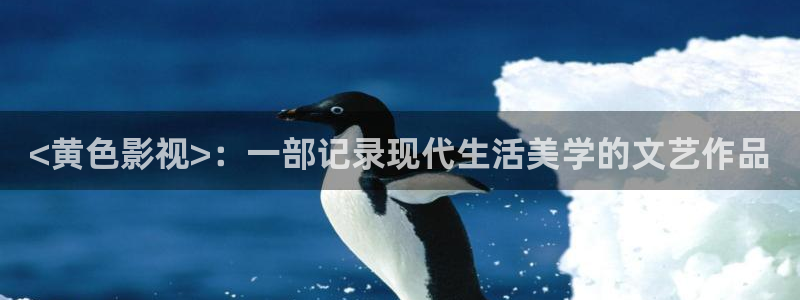 日本午夜私人影院